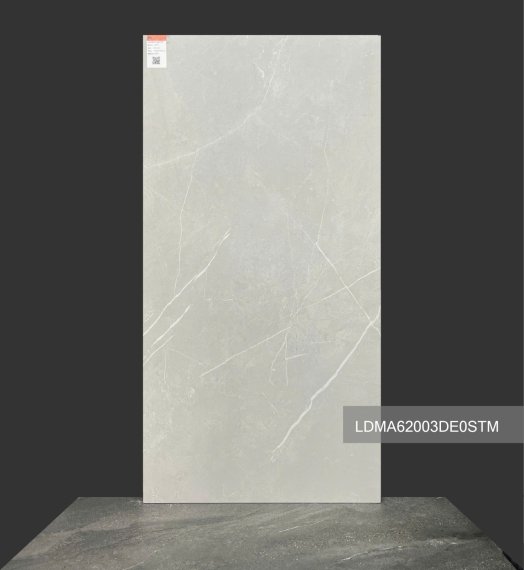 GẠCH 600x1200 LDMA62003DE0STM